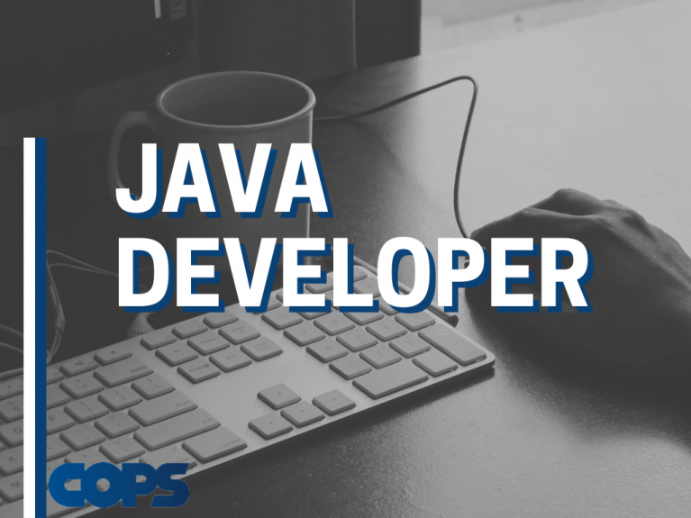 Java developer (medior/senior)