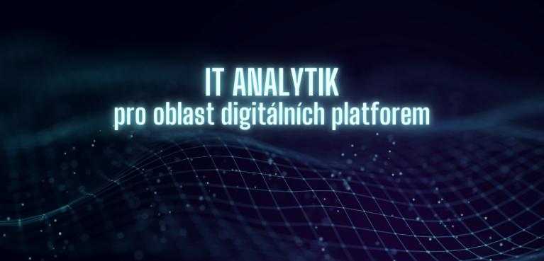 IT Analytik pro oblast digitálních platforem