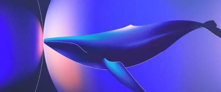 Whalebone s.r.o. logo