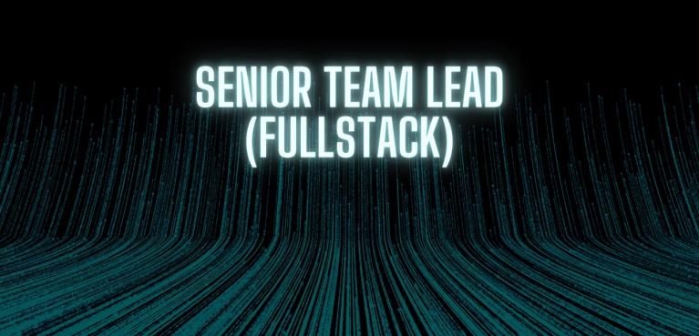 Senior Team Lead (Fullstack)