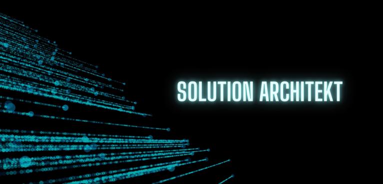 Solution Architect