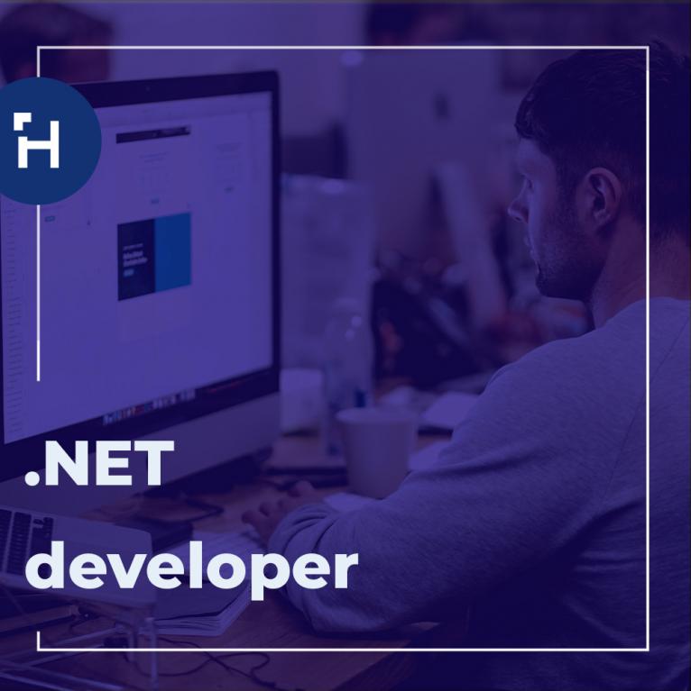 .NET developer
