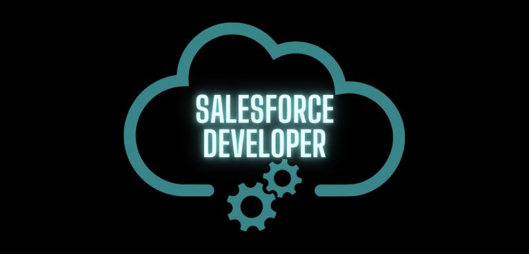 SalesForce Developer