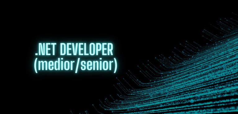 .NET Developer (medior/senior)