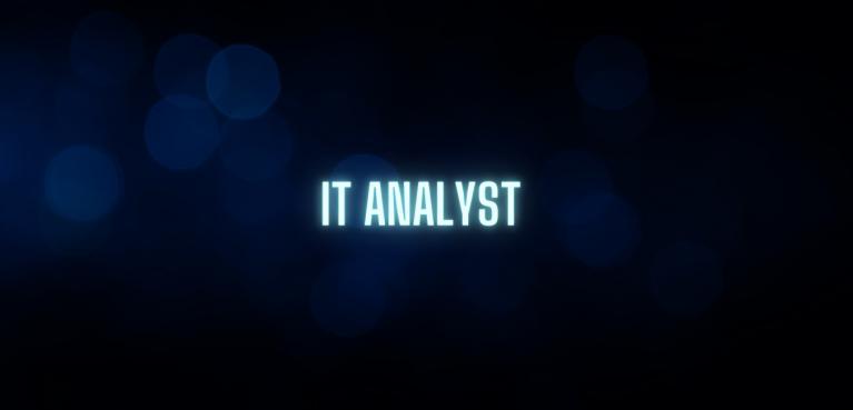 IT Analytik