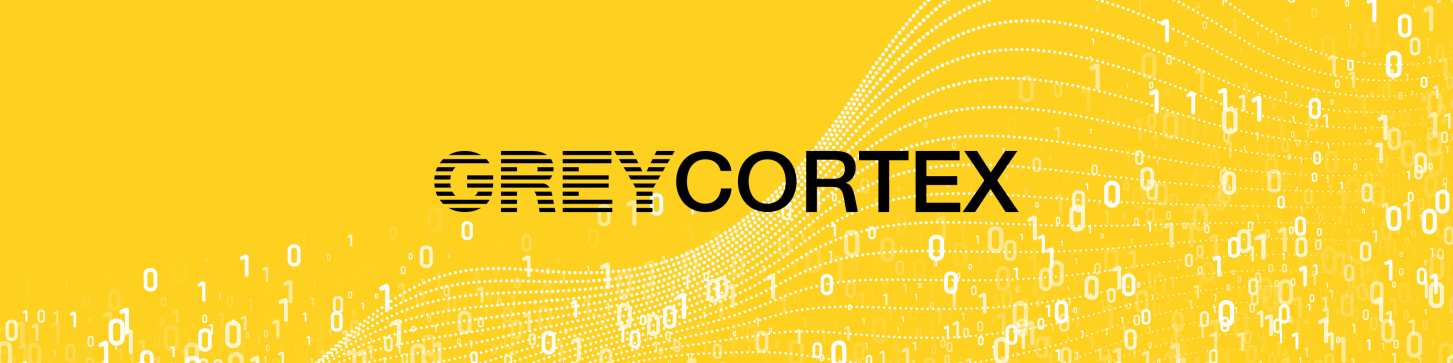 Data Analyst Developer