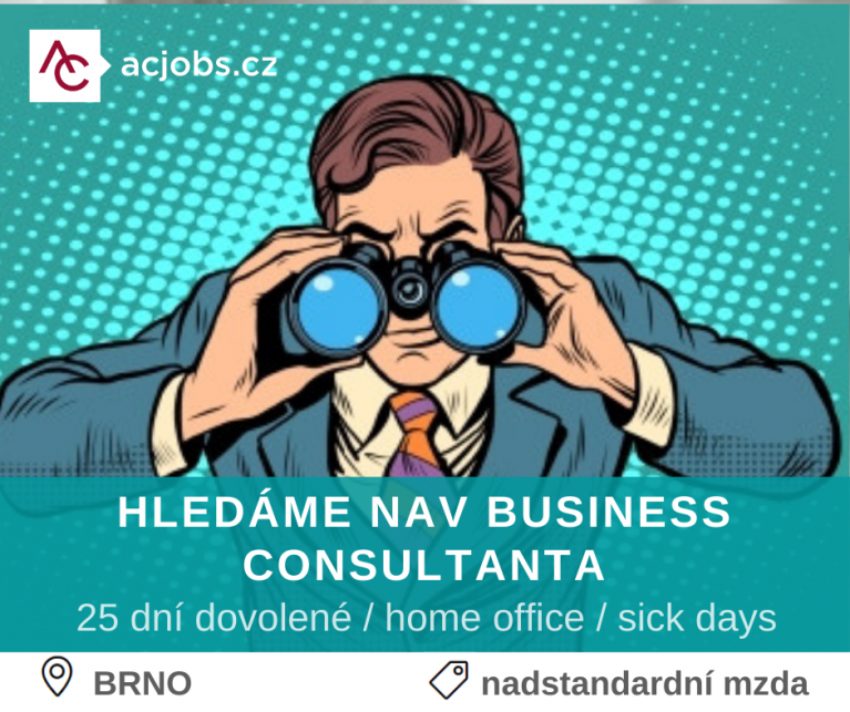 NAV BUSINESS CONSULTANT