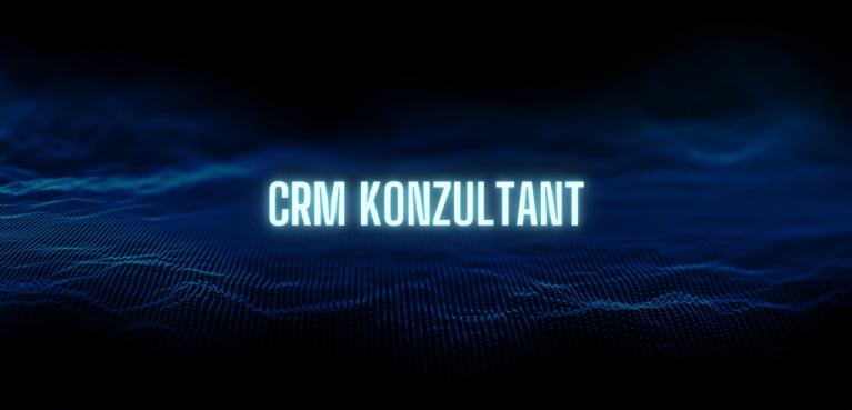 CRM Konzultant
