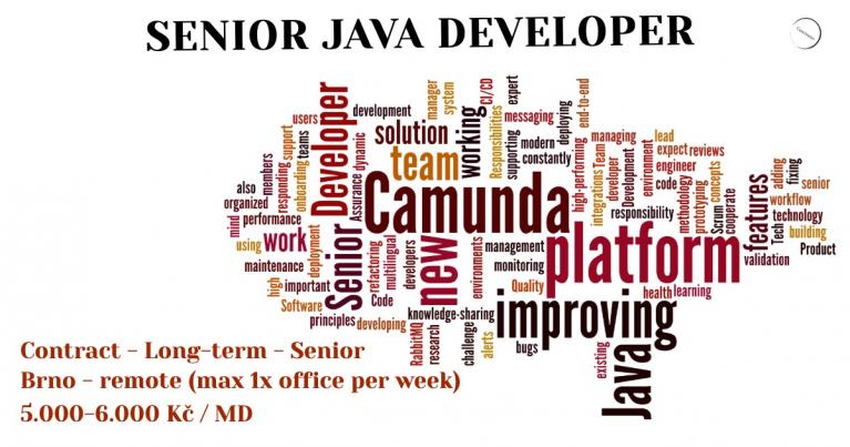 Senior Java Developer - Contractor