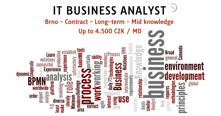 IT Business Analyst