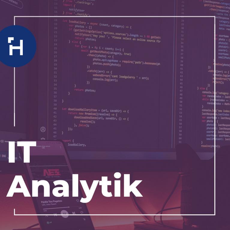 IT Analytik - Medior/Senior