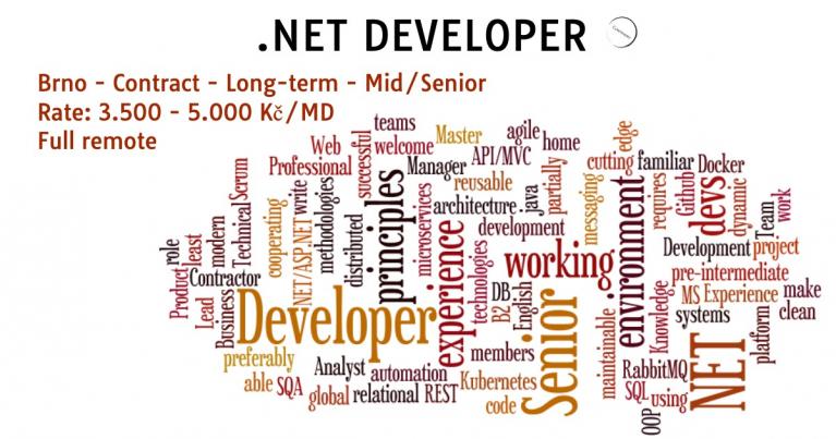 .Net developer