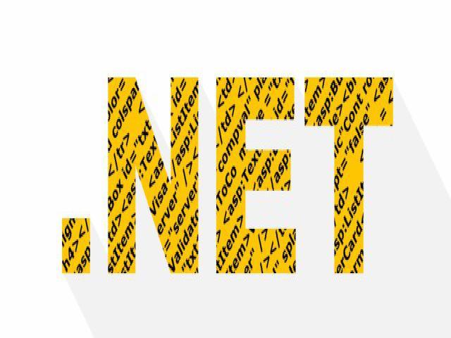.NET developer